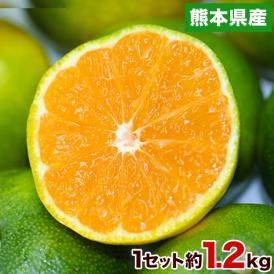 【★最大1000円OFFクーポン発行中！★】熊本県産 甘熟 グリーンハウスみかん 1.2kg 熊本 送料無料 2Sサイズ フルーツ 小玉 みかん 《3‐7営業日より発送予定》