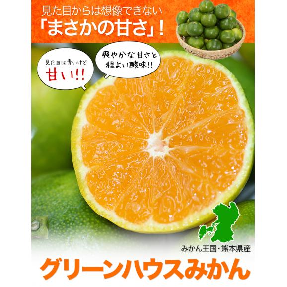 【★最大1000円OFFクーポン発行中！★】熊本県産 甘熟 グリーンハウスみかん 1.2kg 熊本 送料無料 2Sサイズ フルーツ 小玉 みかん 《3‐7営業日より発送予定》02
