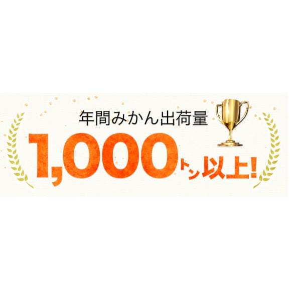 【2セット以上でおまけ付き】みかん 訳あり 大粒 大玉 1.5kg 送料無料 ミカン 旬 フルーツ 柑橘 果物 熊本産 熊本 【1‐5営業日以内に出荷予定(土日祝除く)】03