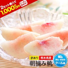 【今が旬！】熊本県産 訳あり 朝摘み 桃 約400g～500g入り （大玉2玉入り） 送料無料 名産地  家庭用 クール便配送《6月下旬‐7月上旬出荷予定》
