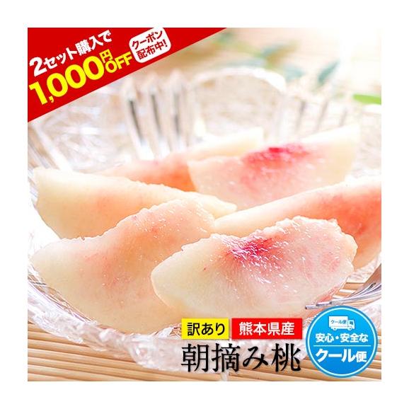 【今が旬！】熊本県産 訳あり 朝摘み 桃 約400g～500g入り （大玉2玉入り） 送料無料 名産地  家庭用 クール便配送《6月下旬‐7月上旬出荷予定》01