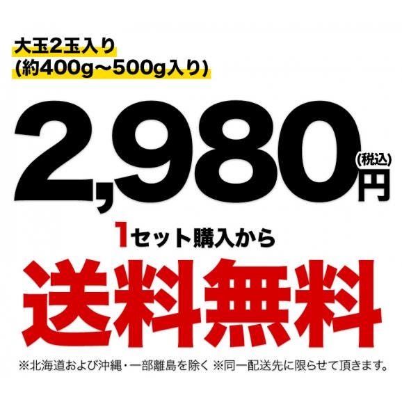【今が旬！】熊本県産 訳あり 朝摘み 桃 約400g～500g入り （大玉2玉入り） 送料無料 名産地  家庭用 クール便配送《6月下旬‐7月上旬出荷予定》02