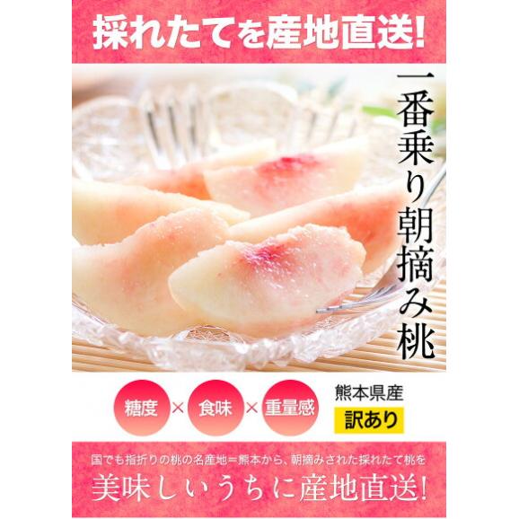 【今が旬！】熊本県産 訳あり 朝摘み 桃 もも モモ約400g～500g入り （大玉2玉入り） 送料無料 名産地  家庭用 クール便配送《7月上旬‐7月下旬出荷予定》03