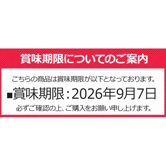【賞味期限間近につき赤字覚悟！】訳あり 有明海産 全型 30枚 お徳用 生活応援 海苔 焼海苔 メール便  熊本 《1-5業日以内に出荷予定(土日祝日除く)》05