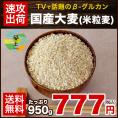 国産大麦 （米粒麦）★大麦β-グルカンなど食物繊維が豊富★米粒麦(国産)たっぷり950g 送料無料★今話題の食物繊維ベータグルカンも含有《3-7営業日以内に出荷予定(土日祝日除く)》