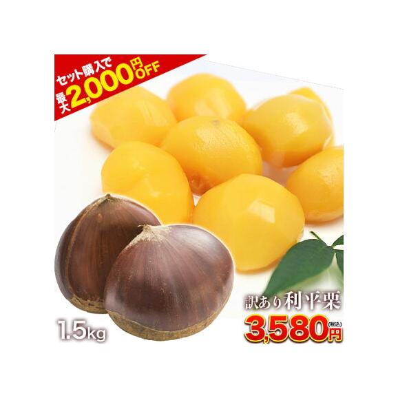 熊本県産 訳あり 利平栗 1.5kg 【希少品種】栗 2L~Lサイズ 生栗 モンブラン 幻の栗 くり 皮むき 栗ご飯 渋皮煮 高級 和栗 国産 秋の味覚 熊本 《9月下旬-10月上旬に出荷予定》01
