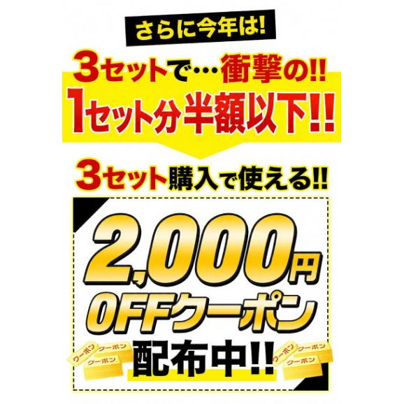 熊本県産 訳あり 利平栗 1.5kg 【希少品種】栗 2L~Lサイズ 生栗 モンブラン 幻の栗 くり 皮むき 栗ご飯 渋皮煮 高級 和栗 国産 秋の味覚 熊本 《9月下旬-10月上旬に出荷予定》02