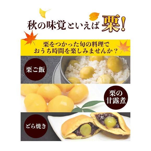熊本県産 訳あり 利平栗 1.5kg 【希少品種】栗 2L~Lサイズ 生栗 モンブラン 幻の栗 くり 皮むき 栗ご飯 渋皮煮 高級 和栗 国産 秋の味覚 熊本 《9月下旬-10月上旬に出荷予定》03