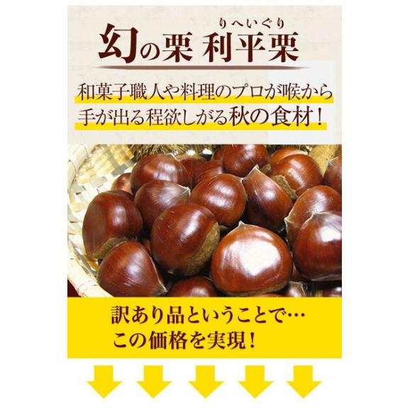 熊本県産 訳あり 利平栗 1.5kg 【希少品種】栗 2L~Lサイズ 生栗 モンブラン 幻の栗 くり 皮むき 栗ご飯 渋皮煮 高級 和栗 国産 秋の味覚 熊本 《9月下旬-10月上旬に出荷予定》04