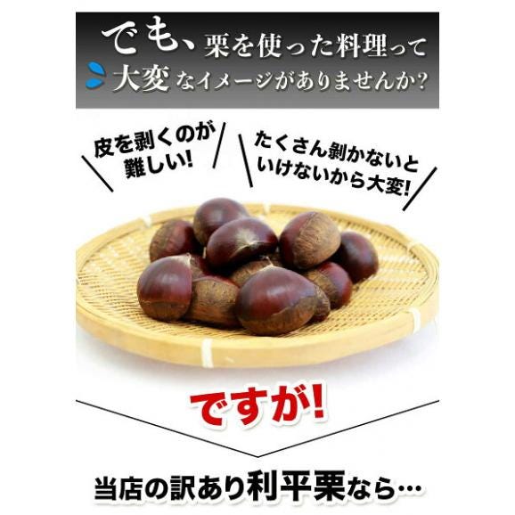 熊本県産 訳あり 利平栗 1.5kg 【希少品種】栗 2L~Lサイズ 生栗 モンブラン 幻の栗 くり 皮むき 栗ご飯 渋皮煮 高級 和栗 国産 秋の味覚 熊本 《9月下旬-10月上旬に出荷予定》05