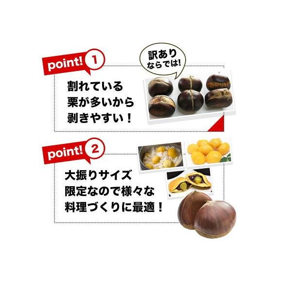 熊本県産 訳あり 利平栗 1.5kg 【希少品種】栗 2L~Lサイズ 生栗 モンブラン 幻の栗 くり 皮むき 栗ご飯 渋皮煮 高級 和栗 国産 秋の味覚 熊本 《9月下旬-10月上旬に出荷予定》06