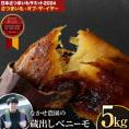 【贈答用にも大人気】さつまいも 紅はるか 5㎏ 熊本県産 蔵出し 熟成 ベニーモ  (紅はるか) 送料無料  秀品 2L - S サイズ 混合  《1-5営業日以内に発送予定》 |
