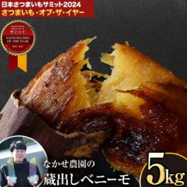 さつまいも べにはるか 薩摩芋 からいも 紅いも 紅はるか 贈答 ギフト お取り寄せ 目玉商品 特産