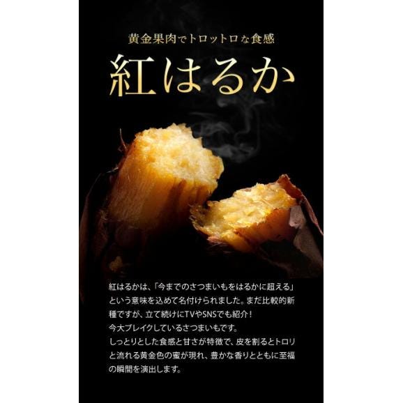 【贈答用にも大人気】さつまいも 紅はるか 5㎏ 熊本県産 蔵出し 熟成 ベニーモ  (紅はるか) 送料無料  秀品 2L - S サイズ 混合  《1-5営業日以内に発送予定》 |02