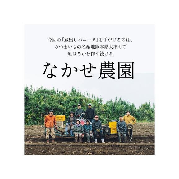 【贈答用にも大人気】さつまいも 紅はるか 5㎏ 熊本県産 蔵出し 熟成 ベニーモ  (紅はるか) 送料無料  秀品 2L - S サイズ 混合  《1-5営業日以内に発送予定》 |03