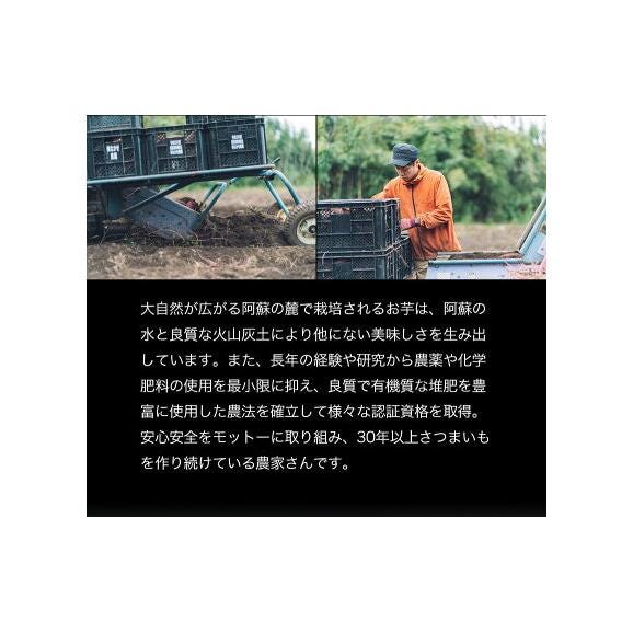 【贈答用にも大人気】さつまいも 紅はるか 5㎏ 熊本県産 蔵出し 熟成 ベニーモ  (紅はるか) 送料無料  秀品 2L - S サイズ 混合  《1-5営業日以内に発送予定》 |04
