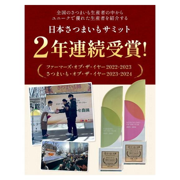 【贈答用にも大人気】さつまいも 紅はるか 5㎏ 熊本県産 蔵出し 熟成 ベニーモ  (紅はるか) 送料無料  秀品 2L - S サイズ 混合  《1-5営業日以内に発送予定》 |05