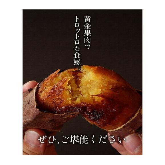 【贈答用にも大人気】さつまいも 紅はるか 5㎏ 熊本県産 蔵出し 熟成 ベニーモ  (紅はるか) 送料無料  秀品 2L - S サイズ 混合  《1-5営業日以内に発送予定》 |06