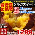 【★売り尽くし最終セール★】さつまいも シルクスイート 訳あり 熊本県産 送料無料 1.5kg サイズ不揃い いも 芋 スイーツ お取り寄せ 1-5営業日以内に出荷予定(土日祝日除く) |