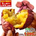 【★月末セール★】さつまいも シルクスイート 訳あり 熊本県産 送料無料 1.5kg サイズ不揃い いも 芋 スイーツ お取り寄せ 1-5営業日以内に出荷予定(土日祝日除く)
