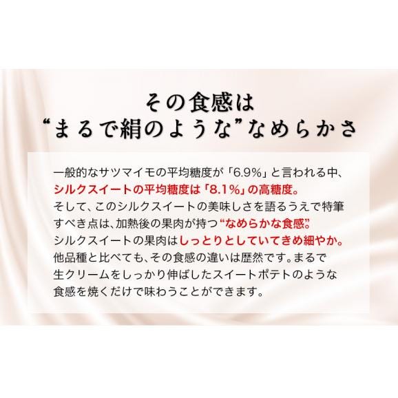 さつまいも シルクスイート 訳あり 熊本県産 送料無料 1.5kg サイズ不揃い いも 芋 スイーツ お取り寄せ 1-5営業日以内に出荷予定(土日祝日除く)02