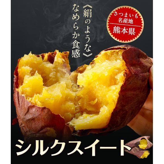 さつまいも シルクスイート 訳あり 熊本県産 送料無料 1.5kg サイズ不揃い いも 芋 スイーツ お取り寄せ 1-5営業日以内に出荷予定(土日祝日除く)03
