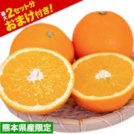 【最大+3kgおまけ付き！】 ネーブル オレンジ 国産 1.5kg 送料無料 訳あり 安心安全 熊本県産 《3月下旬-4月中旬より発送予定》