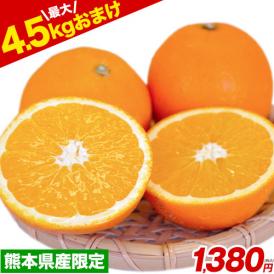訳ありネーブルオレンジ1.5kg★安心安全の熊本県産★オトクな増量キャンペーン
