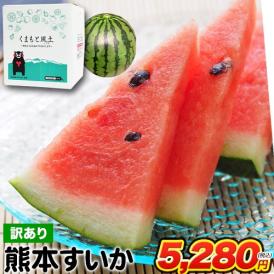 スイカ 熊本 訳あり すいか 熊本県産 1玉 4kg 以上 旬 の 果物 夏 キャンプ バーベキュー BBQ 食材 家庭用 自家用 フルーツ 果物 お取り寄せ 《3-7営業日以内に出荷予定（土日祝除》