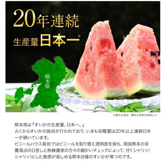 スイカ 熊本 訳あり すいか 熊本県産 1玉 4kg 以上 旬 の 果物 夏 キャンプ バーベキュー BBQ 食材 家庭用 自家用 フルーツ 果物 お取り寄せ 《3-7営業日以内に出荷予定（土日祝除》02