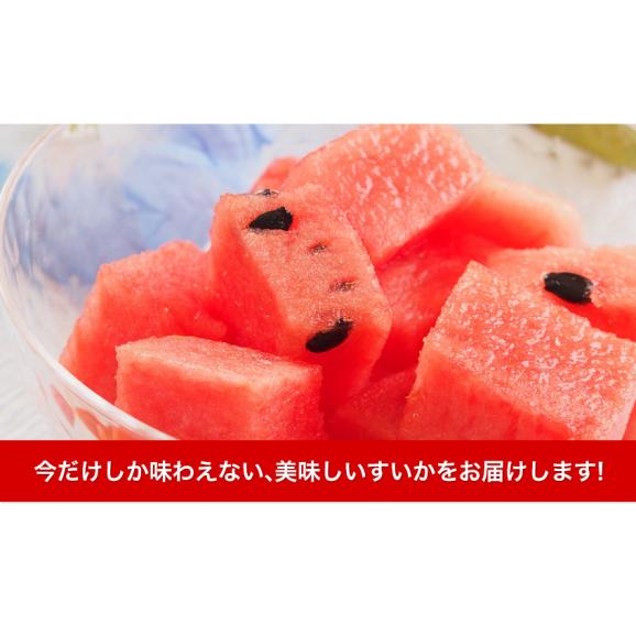 スイカ 熊本 訳あり すいか 熊本県産 1玉 4kg 以上 旬 の 果物 夏 キャンプ バーベキュー BBQ 食材 家庭用 自家用 フルーツ 果物 お取り寄せ 《3-7営業日以内に出荷予定（土日祝除》04