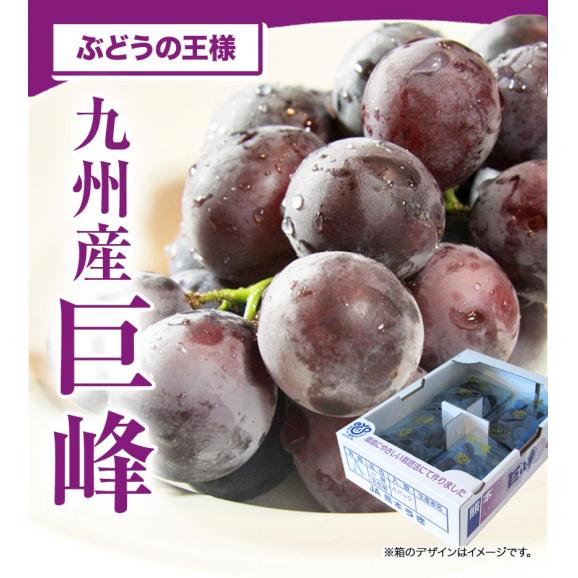 【最大1,000円OFF！】ブドウの王様 巨峰 九州産 約1.2kg前後 約300g×4パック 送料無料 贈答 ギフト 【3-7営業日以内に出荷予定(土日祝を除く)】02