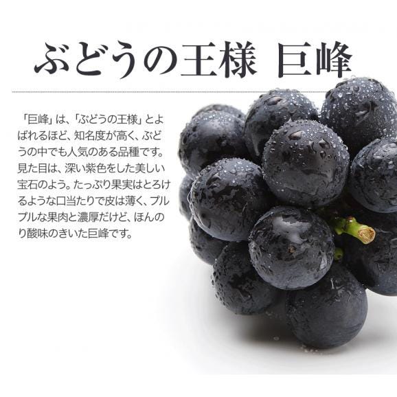 【最大1,000円OFF！】ブドウの王様 巨峰 九州産 約1.2kg前後 約300g×4パック 送料無料 贈答 ギフト 【3-7営業日以内に出荷予定(土日祝を除く)】03