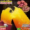 【★在庫限り★芋2種食べ比べセット】訳あり 紅はるか シルクシート 食べ比べセット 計3kg 訳あり 送料無料 焼き芋 芋 フードロス【1-5営業日以内に出荷予定】|