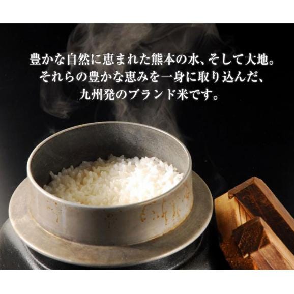 【安心・安全の熊本県産】新米 令和7年産 キヌヒカリ 精米 白米 5kg×2袋 10kg お米 送料無料 単一原料米 単一米 米 コメ 精米 《7-14営業日以内に配送予定》03