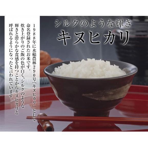 【安心・安全の熊本県産】新米 令和7年産 キヌヒカリ 精米 白米 5kg×2袋 10kg お米 送料無料 単一原料米 単一米 米 コメ 精米 《7-14営業日以内に配送予定》04
