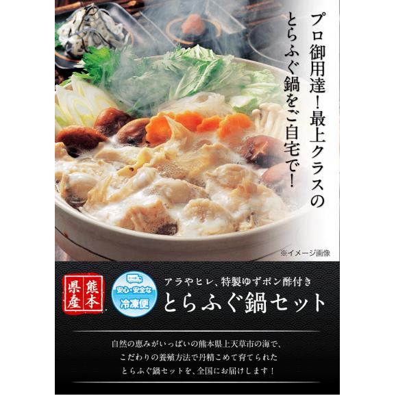 ★数量限定★熊本産とらふぐ鍋（てっちり）たっぷりセット★今なら『ヒレ』『特製ゆずぽん酢/もみじおろし』付き《3-7営業日以内に順次出荷(土日祝日除く)》02