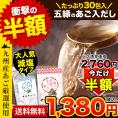 【7/10～★夏の半額セール★】五縁のあご入だし 出汁 だしパック だしの素 たっぷり だし 240g(8g×30袋) 送料無料 《3-7営業日以内に出荷予定(土日祝日除く)》|