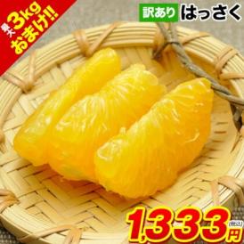 はっさく柑 (八朔・紅八朔) 1.5kg 送料無料 訳あり 熊本県産 八朔みかん ミカン 蜜柑 ★3セット購入で2セット分増量 《1-5営業日以内に出荷予定(土日祝除く)》