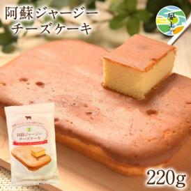 阿蘇 ジャージー チーズケーキ 1個 希少 な ジャージー牛乳使用 送料無料 スイーツ《7-14営業日以内に出荷予定（土日祝日除く）》