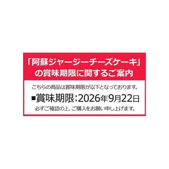 【阿蘇】 ジャージー チーズケーキ しっとり 濃厚 ミルク たっぷり ケーキ 送料無料 希少 な ジャージー牛乳使用 スイーツ 洋菓子 誕生日 熊本 くまもと 《1-5営業日以内に発送(土日祝除く)》02