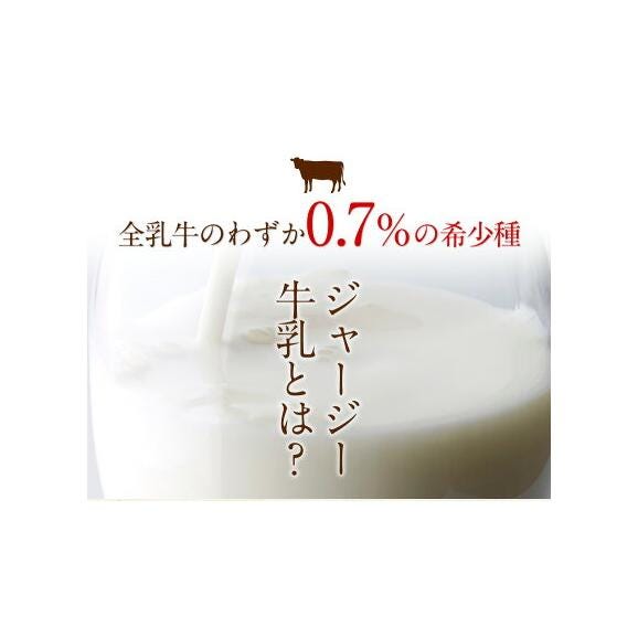 【阿蘇】 ジャージー チーズケーキ しっとり 濃厚 ミルク たっぷり ケーキ 送料無料 希少 な ジャージー牛乳使用 スイーツ 洋菓子 誕生日 熊本 くまもと 《1-5営業日以内に発送(土日祝除く)》04