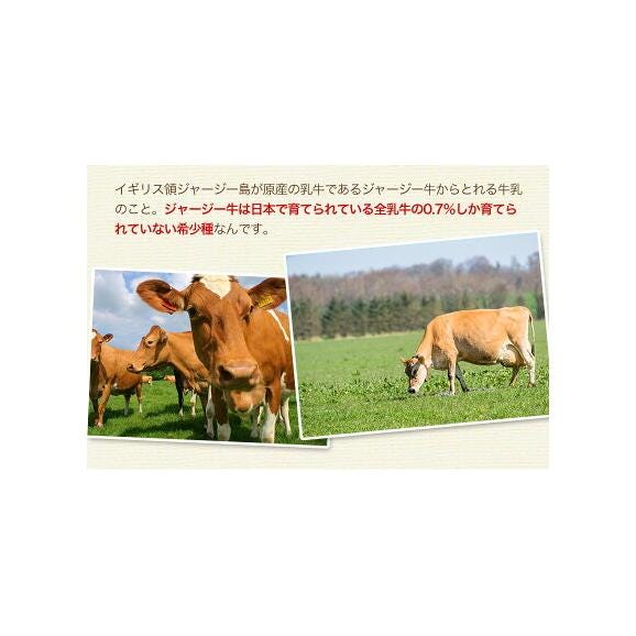 【阿蘇】 ジャージー チーズケーキ しっとり 濃厚 ミルク たっぷり ケーキ 送料無料 希少 な ジャージー牛乳使用 スイーツ 洋菓子 誕生日 熊本 くまもと 《1-5営業日以内に発送(土日祝除く)》05