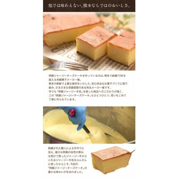 【阿蘇】 ジャージー チーズケーキ しっとり 濃厚 ミルク たっぷり ケーキ 送料無料 希少 な ジャージー牛乳使用 スイーツ 洋菓子 誕生日 熊本 くまもと 《1-5営業日以内に発送(土日祝除く)》06