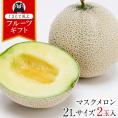 【送料無料】九州産 マスクメロン 2玉【秀品：2Lサイズ】1玉約1.2kg以上×2玉《7-14営業日以内に出荷(土日祝除く)》