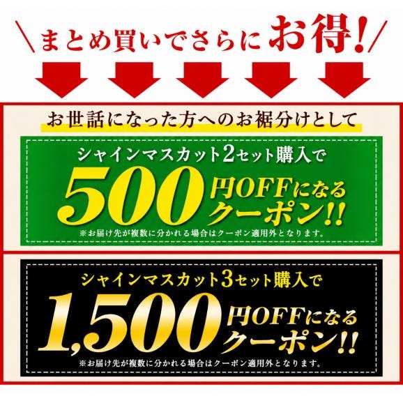 【まとめ買いクーポン発行中!】 訳あり シャインマスカット 1.2kg前後 果物 マスカット ぶどう ブドウ 九州産 皮ごと食べられる ご家庭用【クール便】《7-14営業日以内に発送予定》03