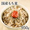 もち麦 国産【送料無料】TVで話題の大麦(もち麦)950g入り★注目成分である「水溶性食物繊維（β-グルカン）」も摂取♪《3-7営業日以内に出荷予定(土日祝日除く)》