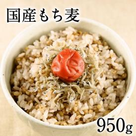 もち麦 国産【送料無料】TVで話題の大麦(もち麦)950g入り★注目成分である「水溶性食物繊維（β-グルカン）」も摂取♪《3-7営業日以内に出荷予定(土日祝日除く)》