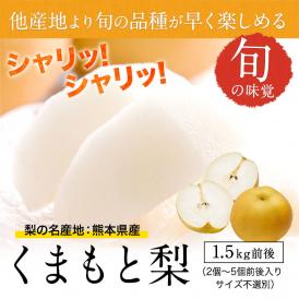 くまもと 梨 なし 1.5kg 前後 (約2～5玉) 送料無料  幸水 凛夏 豊水 あきづき 新高 新興 甘太 秋麗 愛宕 旬 の 味覚 フルーツ 果物 熊本 《9月上旬-9月中旬頃より配送予定》