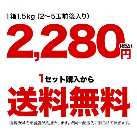 くまもと 梨 なし 1.5kg 前後 (約2～5玉) 送料無料  幸水 凛夏 豊水 あきづき 新高 新興 甘太 秋麗 愛宕 旬 の 味覚 フルーツ 果物 熊本 《9月上旬-9月中旬頃より配送予定》02